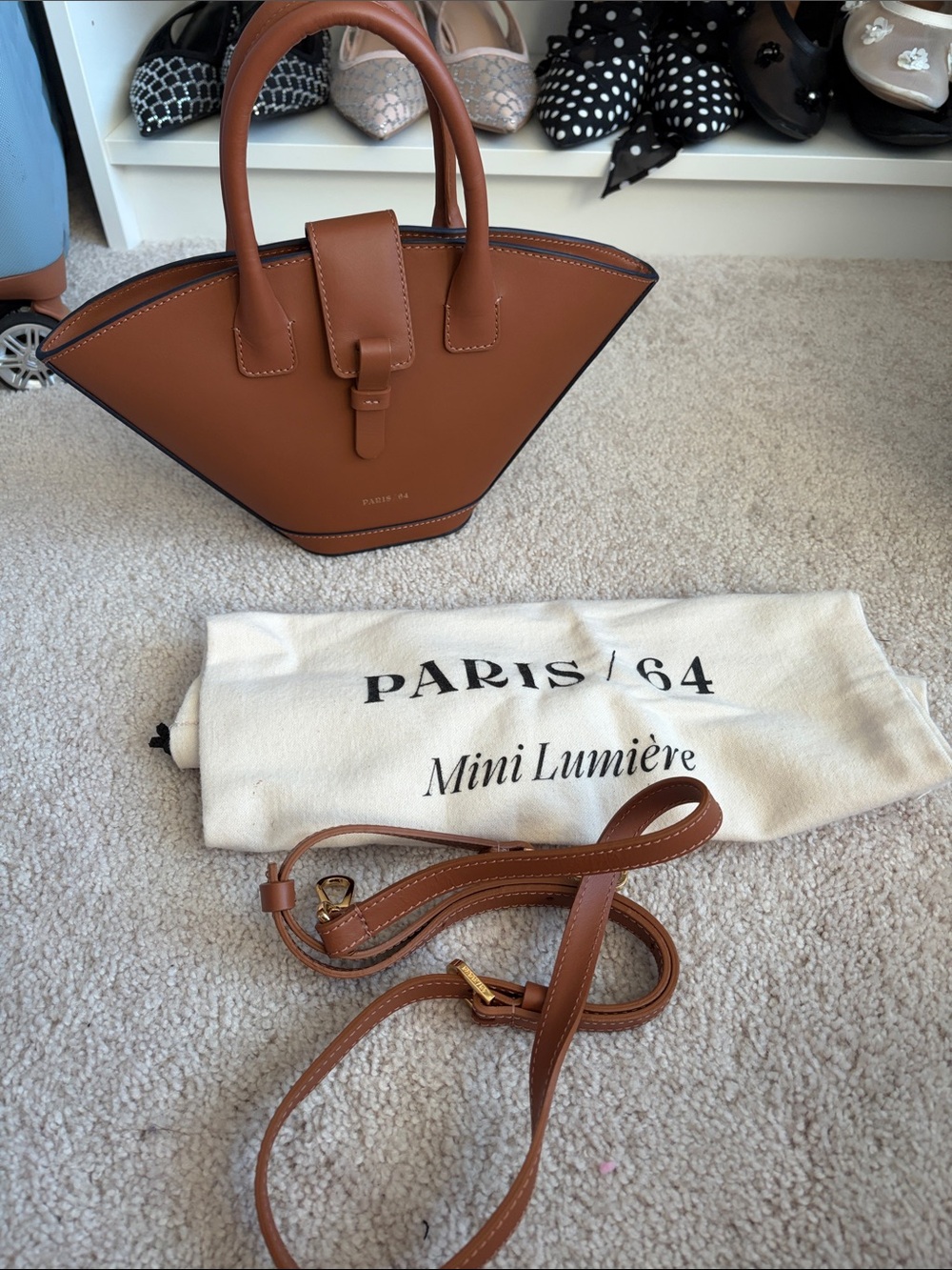 Mini Lumière Leather Top-Handle Bag in Brown